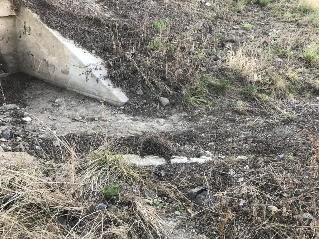 2017-04-01 Jarní úklid (Komořany) 02