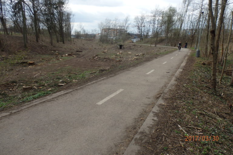 Otazníky nad kácením v Modřanské rokli