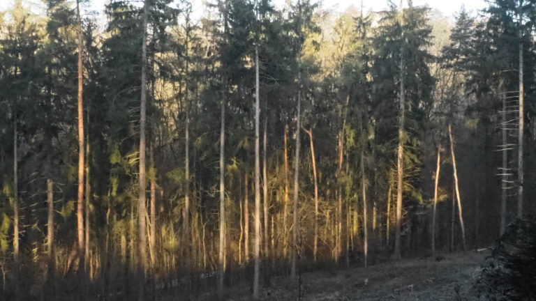 Klimatická nouze v Modřanské rokli?