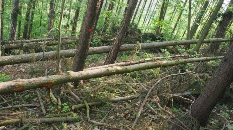 Interpelace ohledně Modřanské rokle