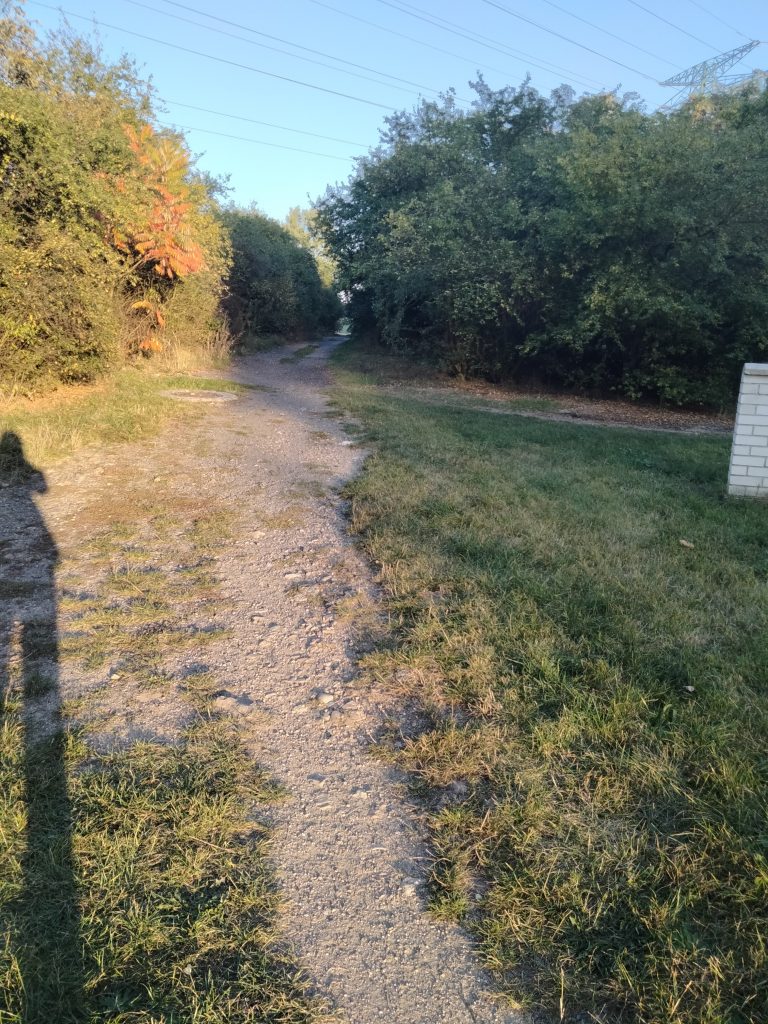 Nechceme parkoviště v zeleni